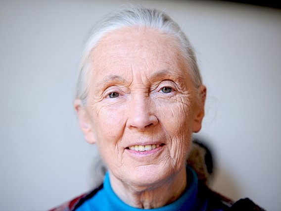 Jane Goodall’s Cause of Death Revealed