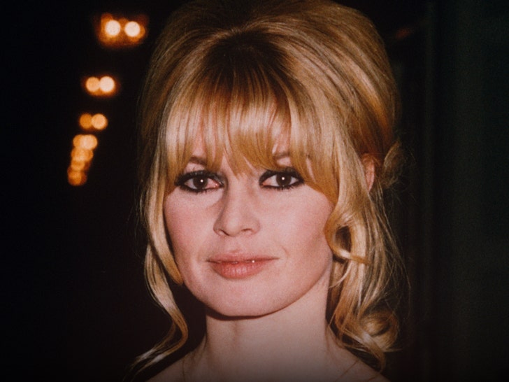 Brigitte Bardot in a classic portrait (Getty Images)