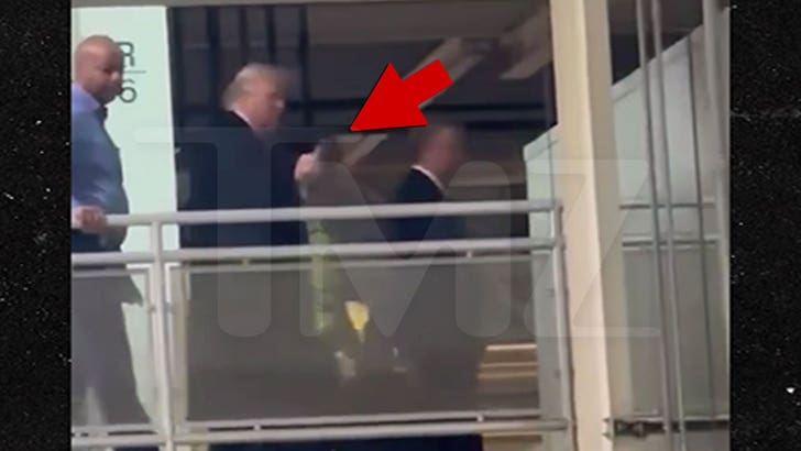 Video still via TMZ showing President Donald Trump appearing to raise his middle finger during a Ford plant visit.