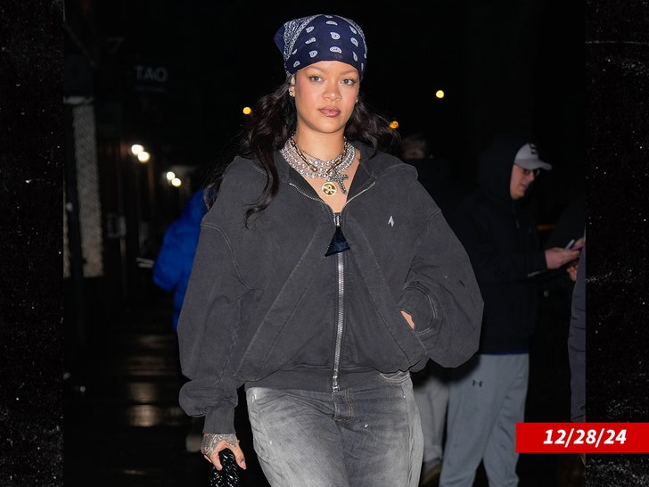 Rihanna Turns Awkward Door Fail Into Viral Power Moment