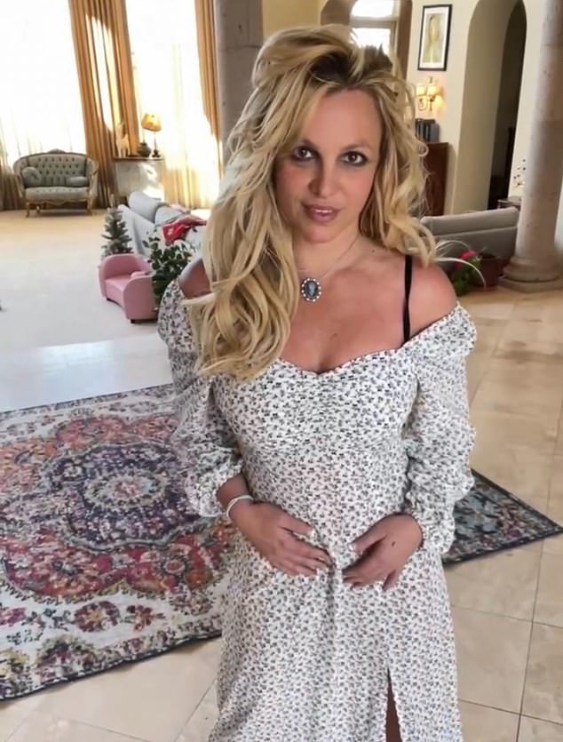 Britney Spears in a recent portrait