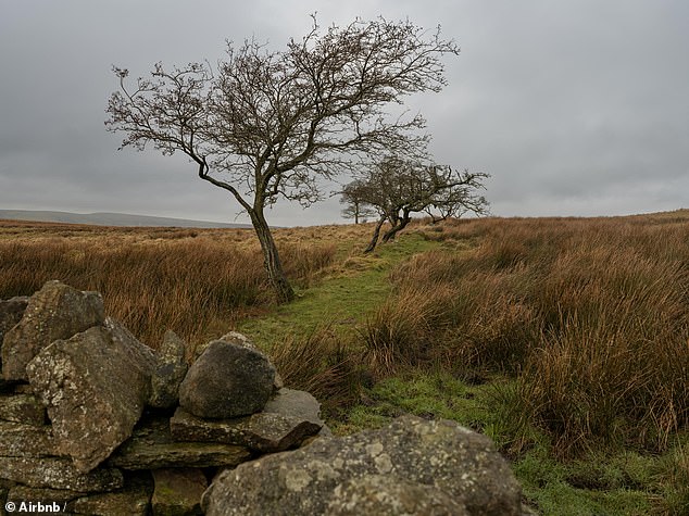 Atmospheric moorland near the Airbnb, evoking the Gothic setting of Wuthering Heights