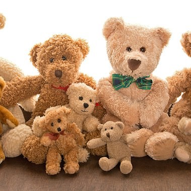 It is currently unclear whether placing them in storage will be temporary or permanent due to a lack of space at Marsh Farm in Sandringham (stock image) - DailyMailUS