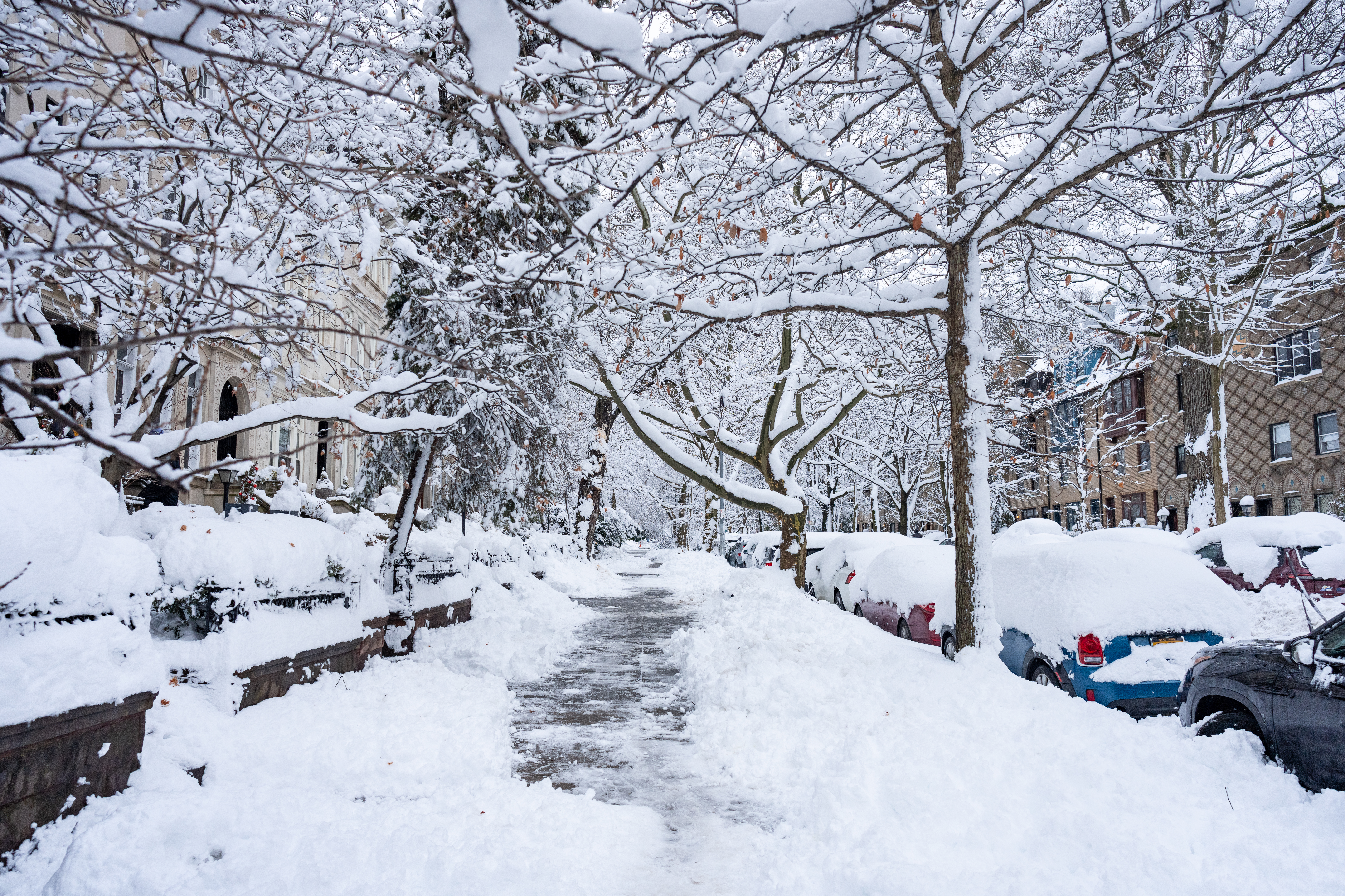 Winter in Brooklyn: snow and ice made stoops treacherous.