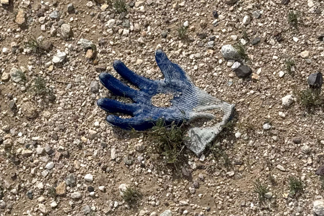 A discarded glove found along a desert path near Nancy Guthrie's home in the Catalina Foothills.