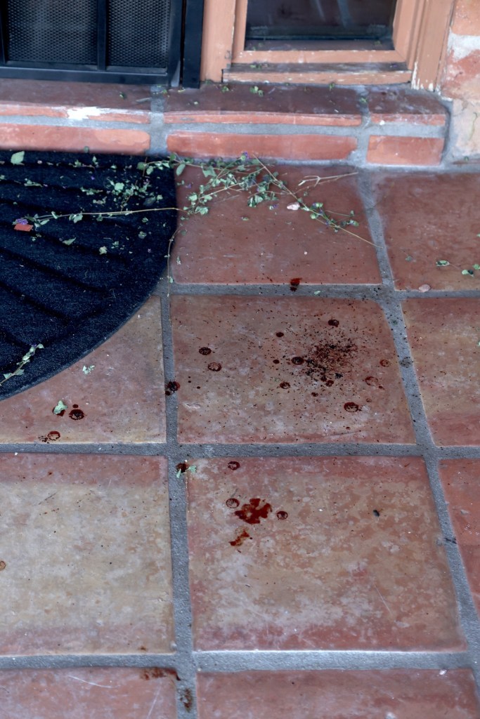 What appear to be blood spatters on the tiled front porch leading to Nancy Guthrie's front door.