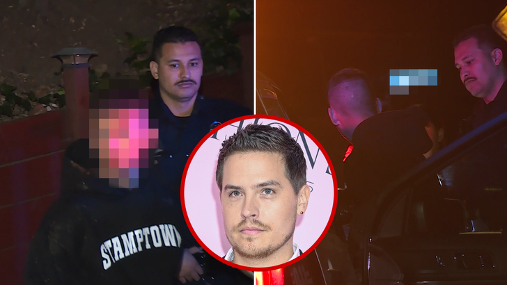 Composite image referencing Dylan Sprouse and the suspect taken into custody after a trespass incident at the couple's Hollywood Hills home.