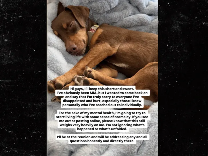 Amanda Batula posts an apology on Instagram Stories
