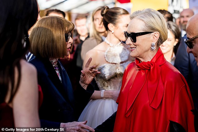 Meryl Streep, who was rumored to have declined a Met Gala co-chair role