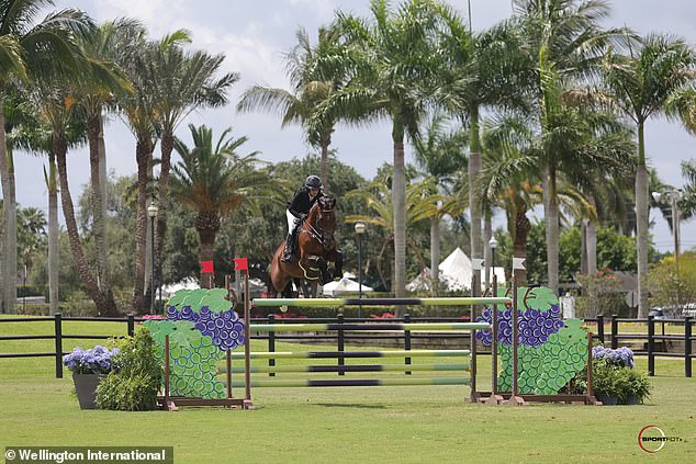 Horse and rider clear a jump at Wellington International, framed by palm trees.