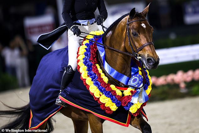 Decorated show horse with rider, illustrating the high-end A-circuit scene in Wellington.