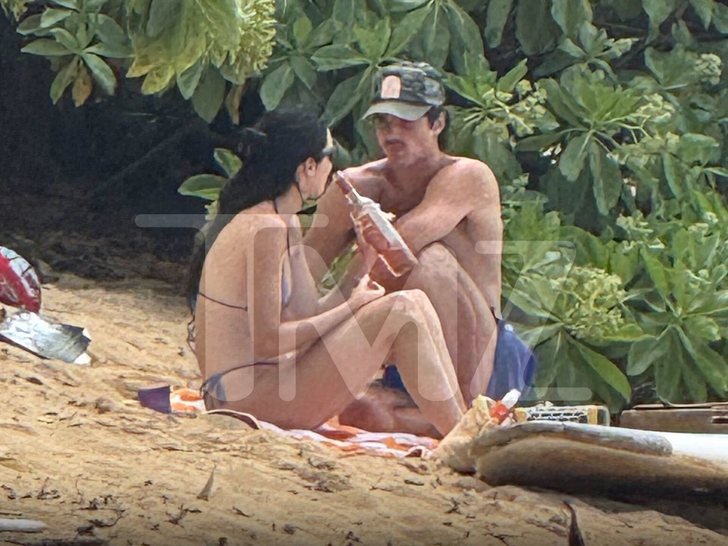 Kendall Jenner and Jacob Elordi sit close together on a quiet Hawaii beach with a surfboard table and rose, as captured in a TMZ photo.