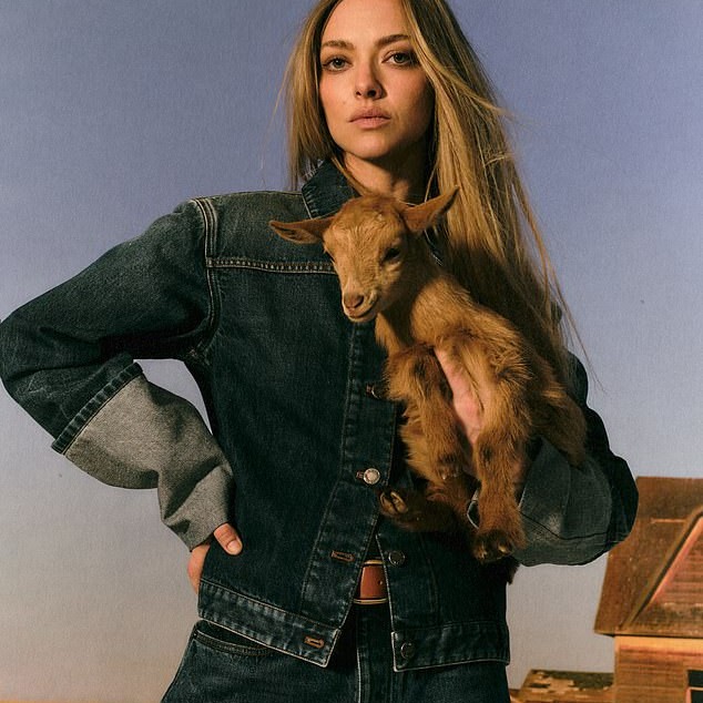 Amanda Seyfried has shed light on her 'ridiculous' 20s and her fears of becoming 'infamous', as she gave insight into the early years of her fame - Daily Mail
