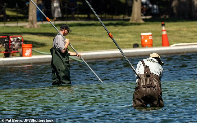 National Park Service workers use vacuum pumps to clean algae off the bottom of the newly renovated Lincoln Memorial Reflecting Pool