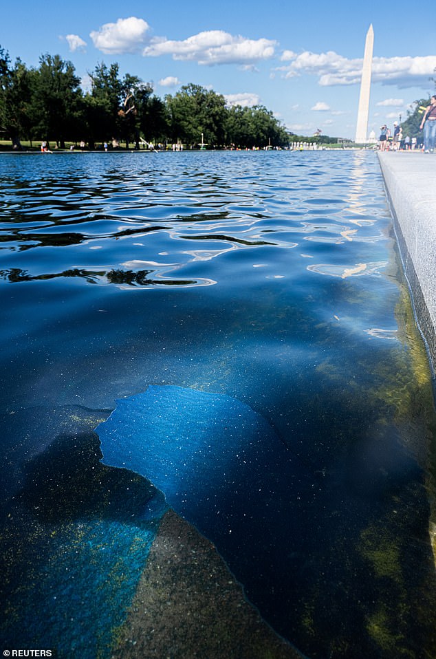 Peeling blue coating on the Reflecting Pool with the Washington Monument in the background