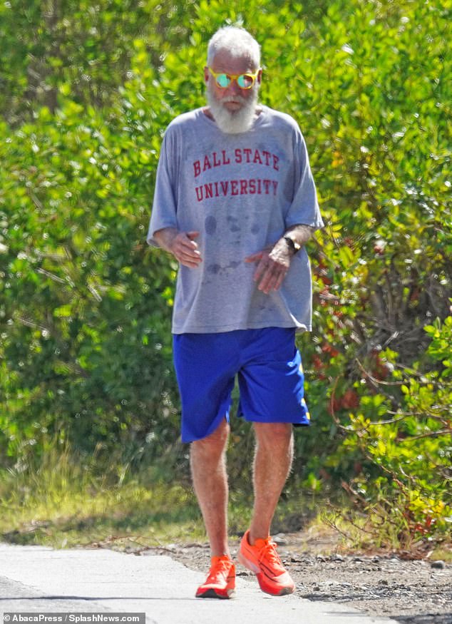 David Letterman quietly acquired the Autour du Rocher property in 1995