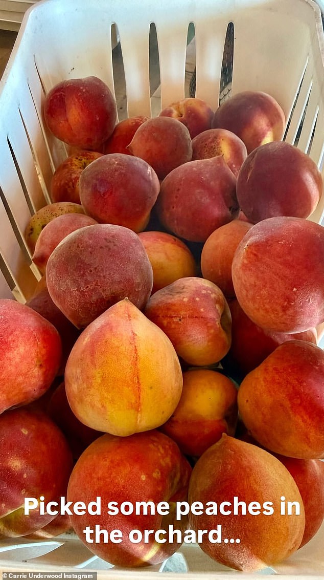 Basket of peaches Carrie Underwood shared on Instagram Stories