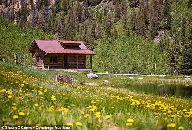 Caretaker's or guest cabin by the pond at Elk Mountain Lodge